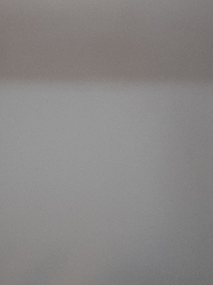 Vertical image, Maarten Rozendale, Holon, Israel, 2020-01-15, - Unknown species- - - Unknown -