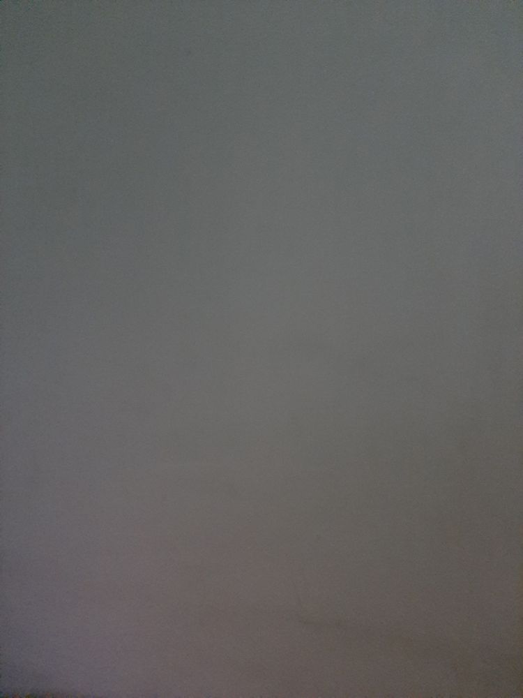 Vertical image, Maarten Rozendale, Holon, Israel, 2020-01-17, - Unknown species- - - Unknown -