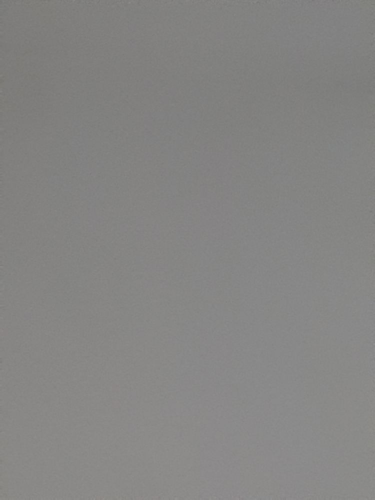 Vertical image, Maarten Rozendale, Holon, Israel, 2020-01-17, - Unknown species- - - Unknown -