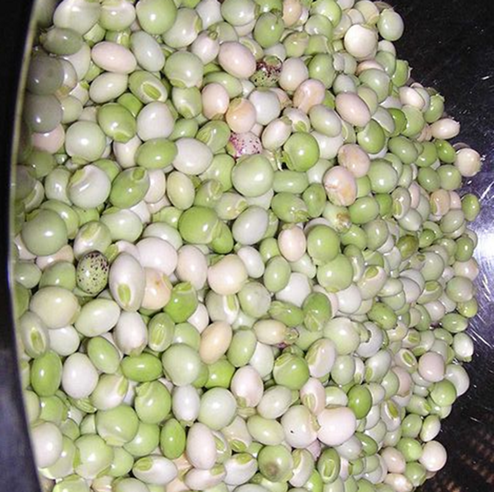 Seeds image, , , , 2017-05-06, Cajanus cajan - Pigeon pea