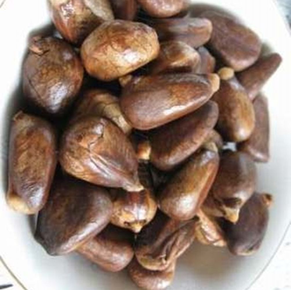 Crops image, , origin: , , Artocarpus camansi - Breadnut