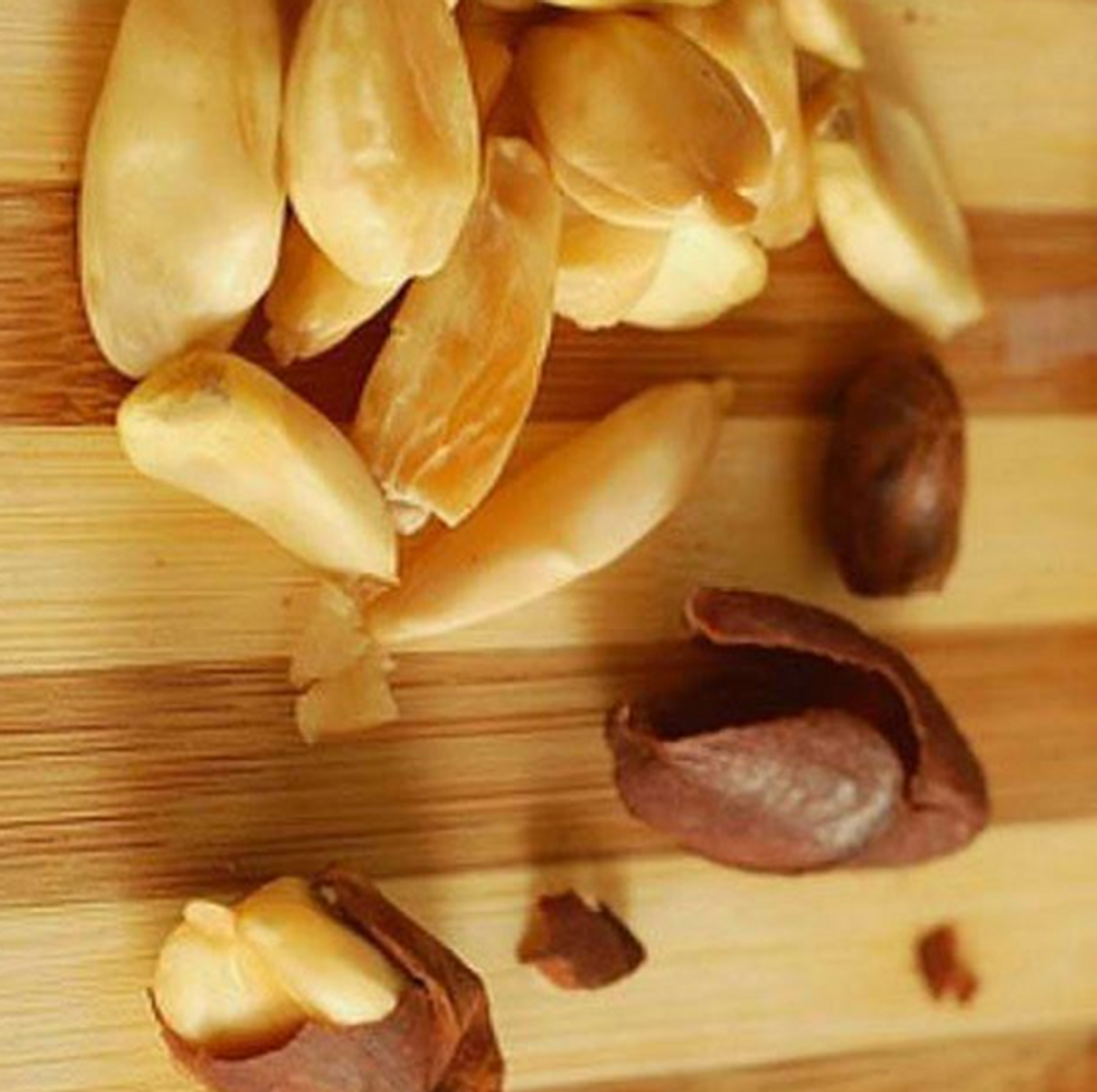 Crops image, , origin: , , Canarium ovatum - Pili nut tree