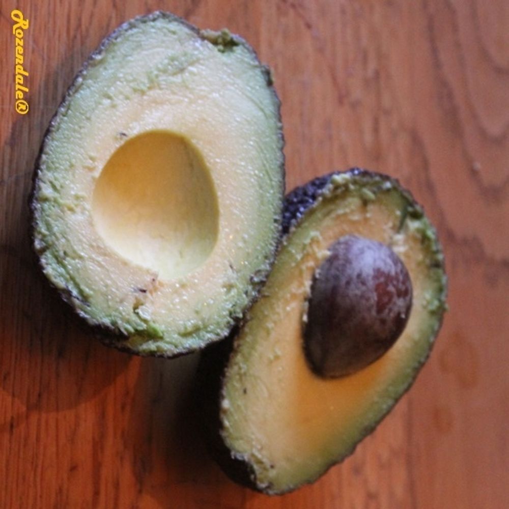 Crops image, , origin: , , Persea americana - Avocado tree