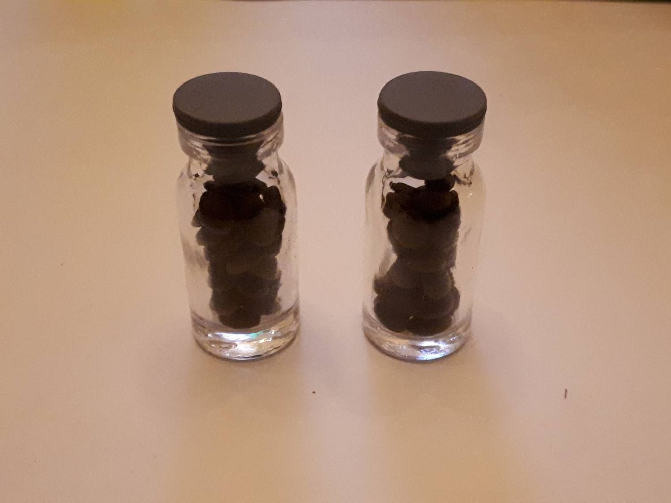 Seeds image, , Sneek, Netherlands, 2018-09-25, Acacia farnesiana - Sweet acacia