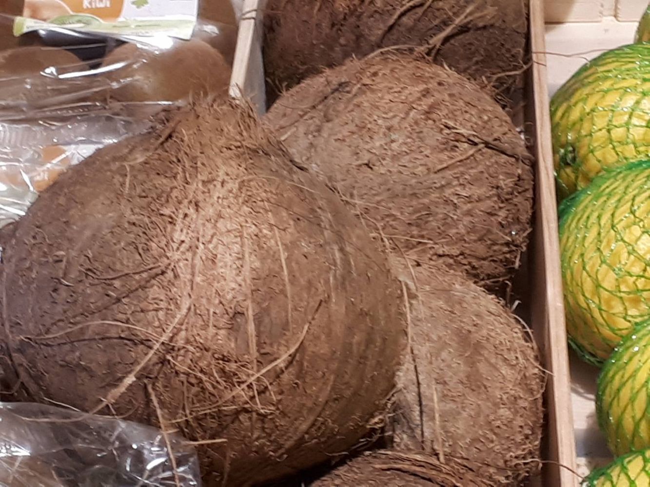Crops image, , origin: , , Cocos nucifera - Coconut tree