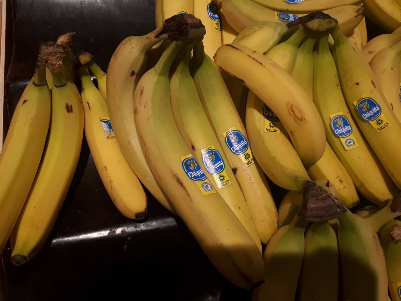 Crops image, , origin: , , Musa acuminata - Banana