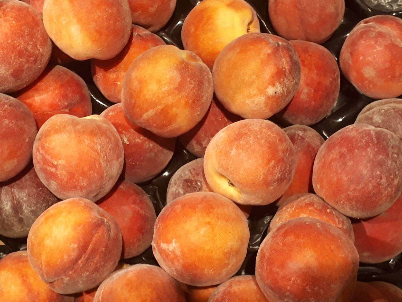 Crops image, , origin: , , Prunus persica - Peache