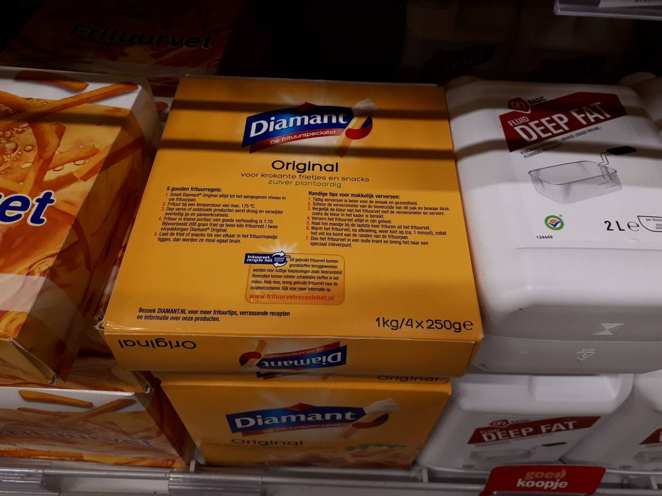 Crops image, , origin: , , Elaeis guineensis - Oil Palm