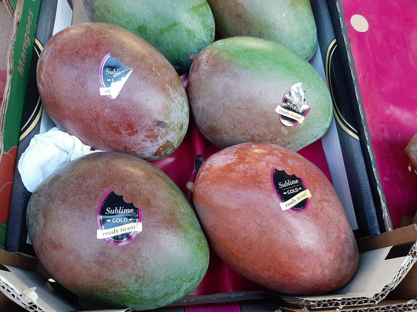 Crops image, Maarten Rozendale, origin: , 2019-10-29, Mangifera indica - Mango tree