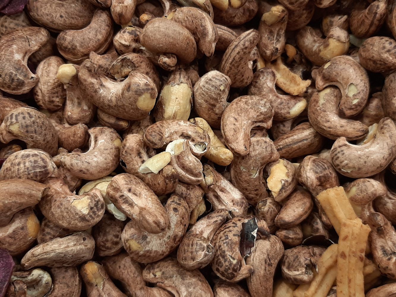 Crops image, Maarten Rozendale, origin: , 2019-12-29, Anacardium occidentale - Cashew