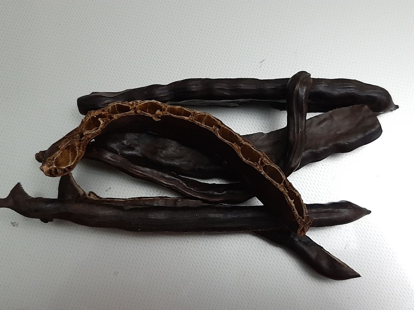 Crops image, Maarten Rozendale, origin: Israel, 2020-01-14, Ceratonia siliqua - Carob tree