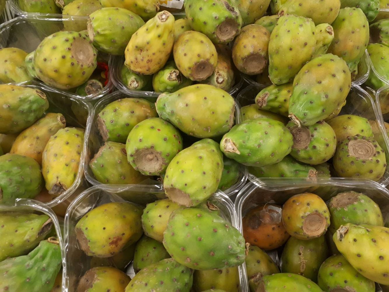 Crops image, , origin: , , Opuntia ficus-indica - Pear cactus