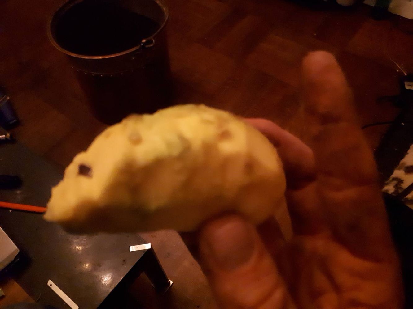 Crops image, , origin: , 2018-10-27, Asimina triloba - Kentucky pawpaw