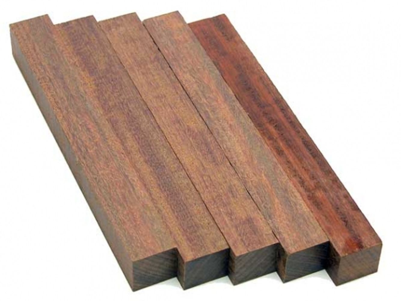 Crops image, , origin: , , Caesalpinia ferrea - Leopard tree