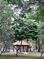 Detail image Saigon, Vietnam, 2020-04-17