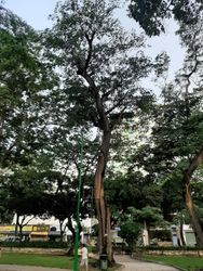Detail image Saigon, Vietnam, 2020-04-17