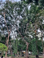 Detail image Saigon, Vietnam, 2020-04-17