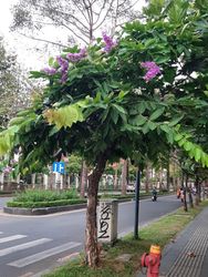 Detail image Saigon, Vietnam, 2020-04-17