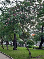 Detail image Saigon, Vietnam, 2020-04-17
