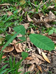 Saigon, Vietnam, 2020-03-17