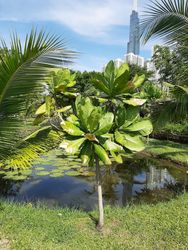 Saigon, Vietnam, 2020-03-20