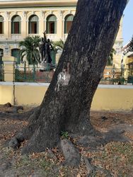 Saigon, Vietnam, 2020-04-17